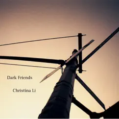 Dark Friends - Single by Christina Li album reviews, ratings, credits