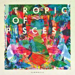 Symmetry (Lenno Remix) - Single by Tropic Of Pisces album reviews, ratings, credits