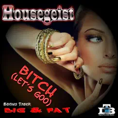 Bitch (Let's Goo) - Single by Housegeist album reviews, ratings, credits