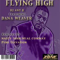 Flying High (feat. Dana Weaver) [Pure Elevation in Flight Dub] Song Lyrics