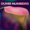Dumb Numbers album lyrics, reviews, download