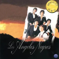 Angelitos Negros Song Lyrics