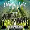 What I Want - Single album lyrics, reviews, download