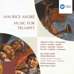 Adagio in G Minor (Arr. for Trumpet and Organ) Song Lyrics