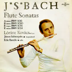 Sonata for Flute and Harpsichord in B minor, BWV 1030 - Largo e dolce Song Lyrics