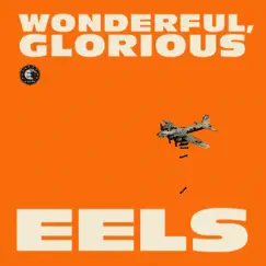 Wonderful, Glorious by Eels album reviews, ratings, credits