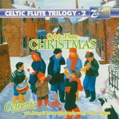 Celtic Flute Christmas (feat. Jennifer Campbell, Donald McPherson, Karen Street & Stefan Hannigan) by Declan Waggett album reviews, ratings, credits