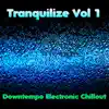 Tranquilize, Vol. 1: Downtempo Electronic Chillout album lyrics, reviews, download