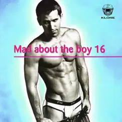 Mad About the Boy 16 by Various Artists album reviews, ratings, credits