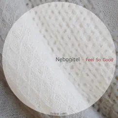 Feel So Good - Single by Nebogitel album reviews, ratings, credits