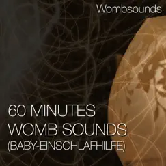 60 Minutes Womb Sounds (Baby-Einschlafhilfe) by Wombsounds album reviews, ratings, credits