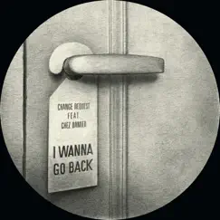 I Wanna Go Back (feat. Chez Damier) [Album Edit] Song Lyrics