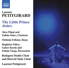 The Little Prince: VII. Les Oiseaux Sauvages (The Wild Birds) Song Lyrics