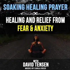 Soaking Healing Prayer for Release from Fear and Anxiety by David Tensen album reviews, ratings, credits