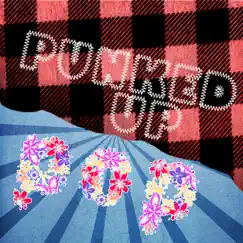 Punked Up Pop by Cut Down Clay album reviews, ratings, credits