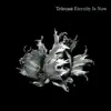 Eternity Is Now album lyrics, reviews, download