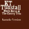 Black Horse and the Cherry Tree (Karaoke Version) - Single album lyrics, reviews, download