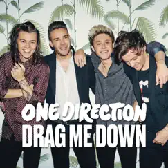 Drag Me Down (feat. LunchMoney Lewis) [Big Payno x AFTERHRS Remix] - Single by One Direction album reviews, ratings, credits