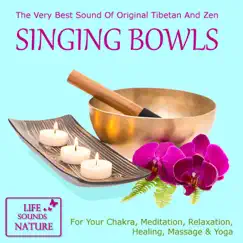 Relaxing At Beach With Soothing Sound of Singing Bowls For Concentration, Sleeping - Part 2 Song Lyrics