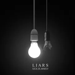 Liars - Single by Into Colour album reviews, ratings, credits