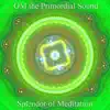 Om the Primordial Sound: Healing Through Sound Vibration album lyrics, reviews, download