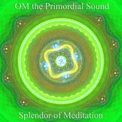 Om the Primordial Sound: Healing Through Sound Vibration by Splendor of Meditation album reviews, ratings, credits