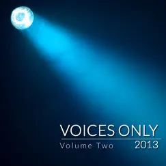 Voices Only 2013 College A Cappella, Vol. 2 by Various Artists album reviews, ratings, credits