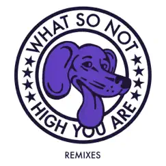 High You Are (Motez Remix) Song Lyrics