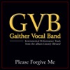 Please Forgive Me (Performance Tracks) - EP album lyrics, reviews, download