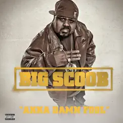 AKKA Damn Fool - Single by Big Scoob album reviews, ratings, credits