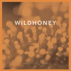 Seventeen Forever - Single by Wildhoney album reviews, ratings, credits