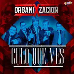 Culo Que Ves - Single by Organización X album reviews, ratings, credits