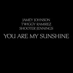 You Are My Sunshine - EP by Jamey Johnson, Twiggy Ramirez & Shooter Jennings album reviews, ratings, credits