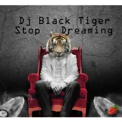 Stop Dreaming - EP by Dj Black Tiger album reviews, ratings, credits