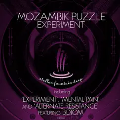 Experiment - Single by Mozambik Puzzle album reviews, ratings, credits