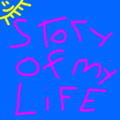 Story of My Life Parody Song Lyrics