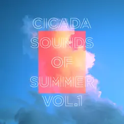 Sounds of Summer, Vol. 1 - Single by Cicada album reviews, ratings, credits