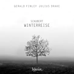 Winterreise, D. 911: XVIII. Der stürmische Morgen Song Lyrics
