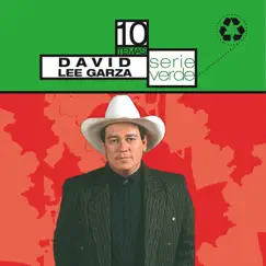 Serie Verde - David Lee Garza by David Lee Garza album reviews, ratings, credits