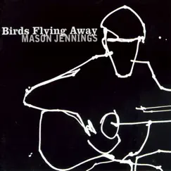 Birds Flying Away by Mason Jennings album reviews, ratings, credits