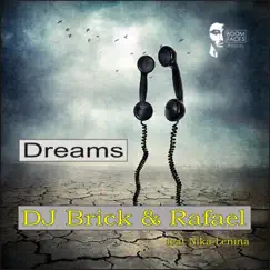 Dreams (feat. Nika Lenina) - Single by DJ Brick & Rafael album reviews, ratings, credits