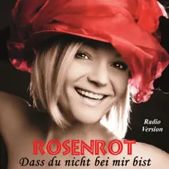 Dass du nicht bei mir bist (Radio Version) Song Lyrics