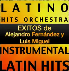 Éxitos de Alejandro Fernández y Luis Miguel (Instrumental) by Latino Hits Orchestra album reviews, ratings, credits