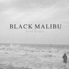 Black Malibu by Joof Citty album reviews, ratings, credits