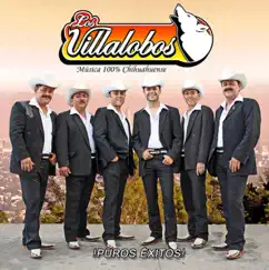 !Puros Éxitos! by Los Villalobos album reviews, ratings, credits