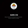 Burn On - Single album lyrics, reviews, download
