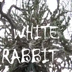 White Rabbit Song Lyrics