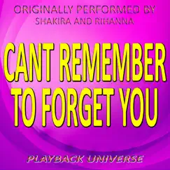 Can't Remember to Forget You (Originally Performed by Shakira and Rihanna) [Karaoke Instrumental Version.] Song Lyrics