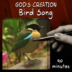 Bird Song by God's Creation album reviews, ratings, credits