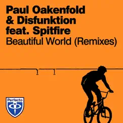 Beautiful World (feat. Spitfire) [Swedish Egil & Carl Noren Remix] Song Lyrics